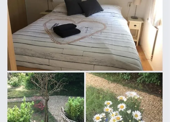 Sunnychalet بيكبيرخين