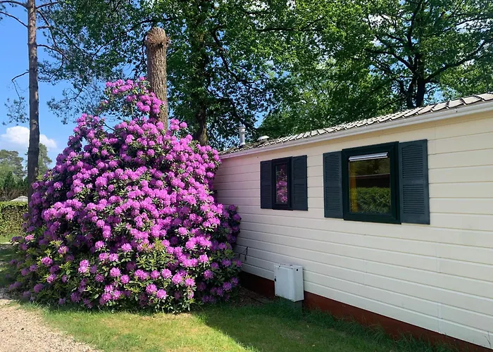 Sunnychalet شاليه