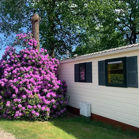 Sunnychalet شاليه